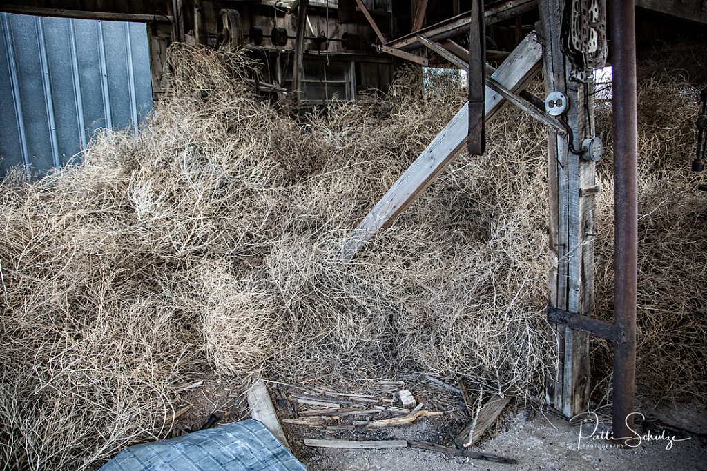 Tumbleweed