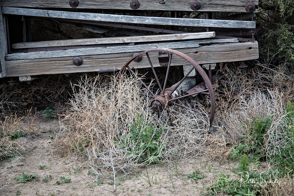 Wagonwheel