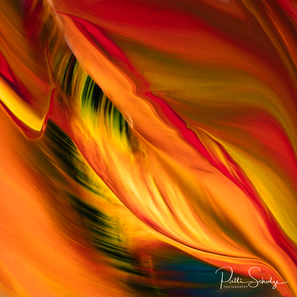 Fire Feather