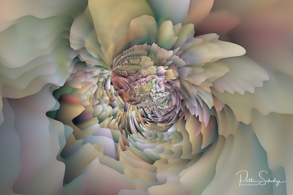 Circular Dreams