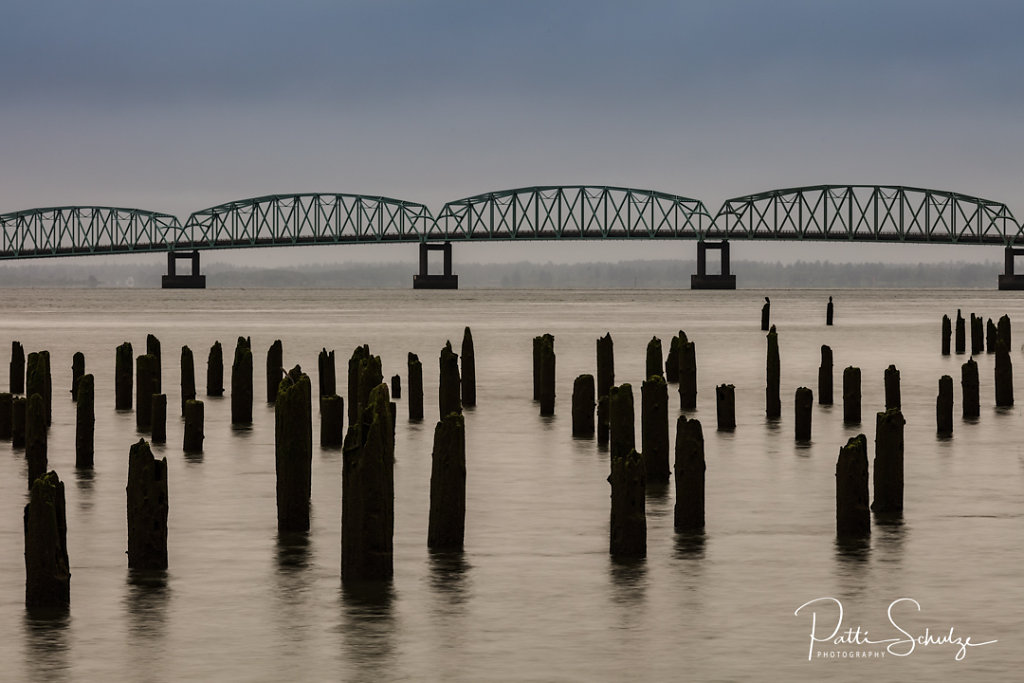 Astoria Bridge and Pilings