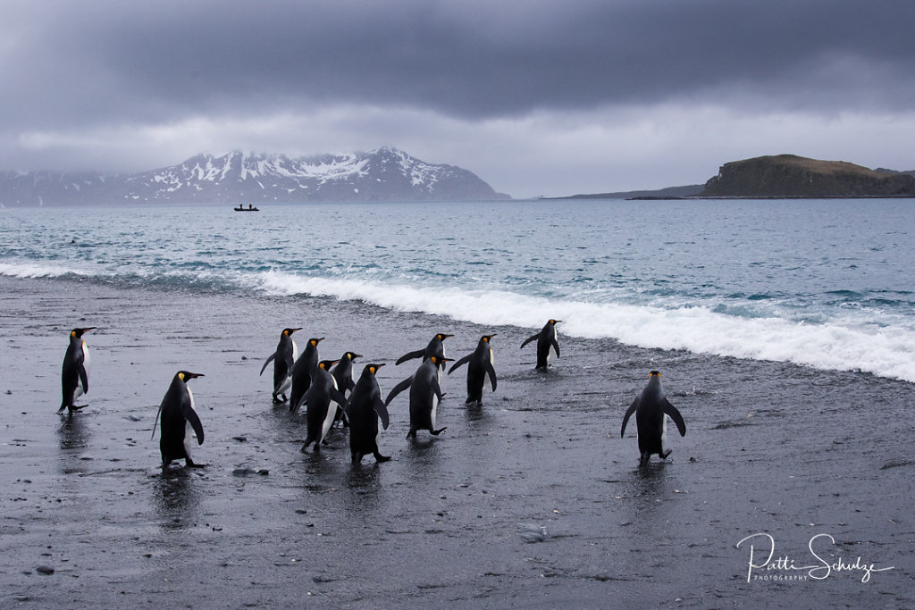 Another group in the water