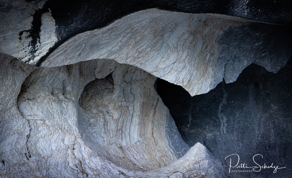 Whales Mouth
